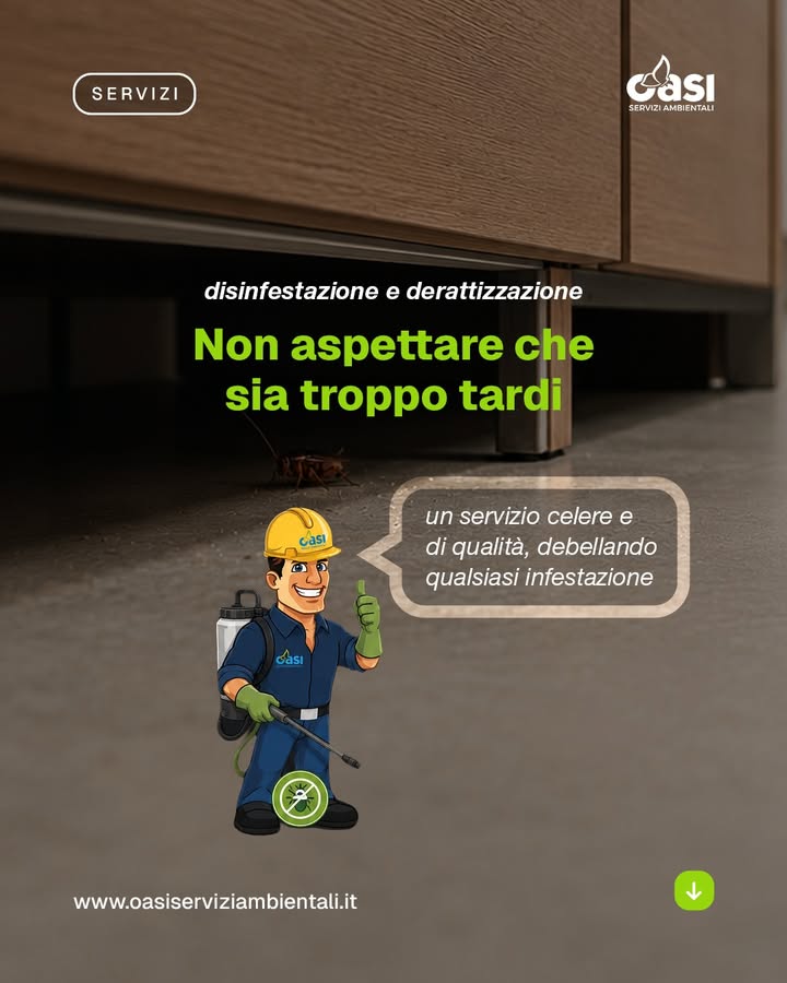 Intervenire in tempo può fare la differenza 🕒
Insetti e roditori
